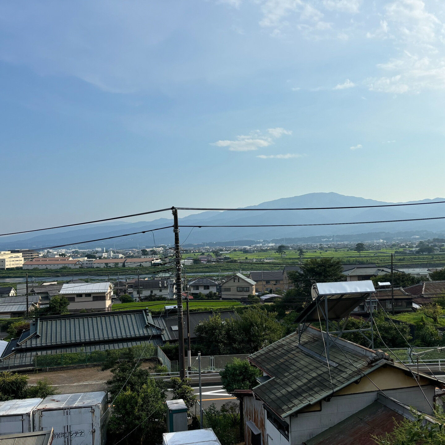 特殊伐採は、一般的な伐採技術では対応できないような難易度の高