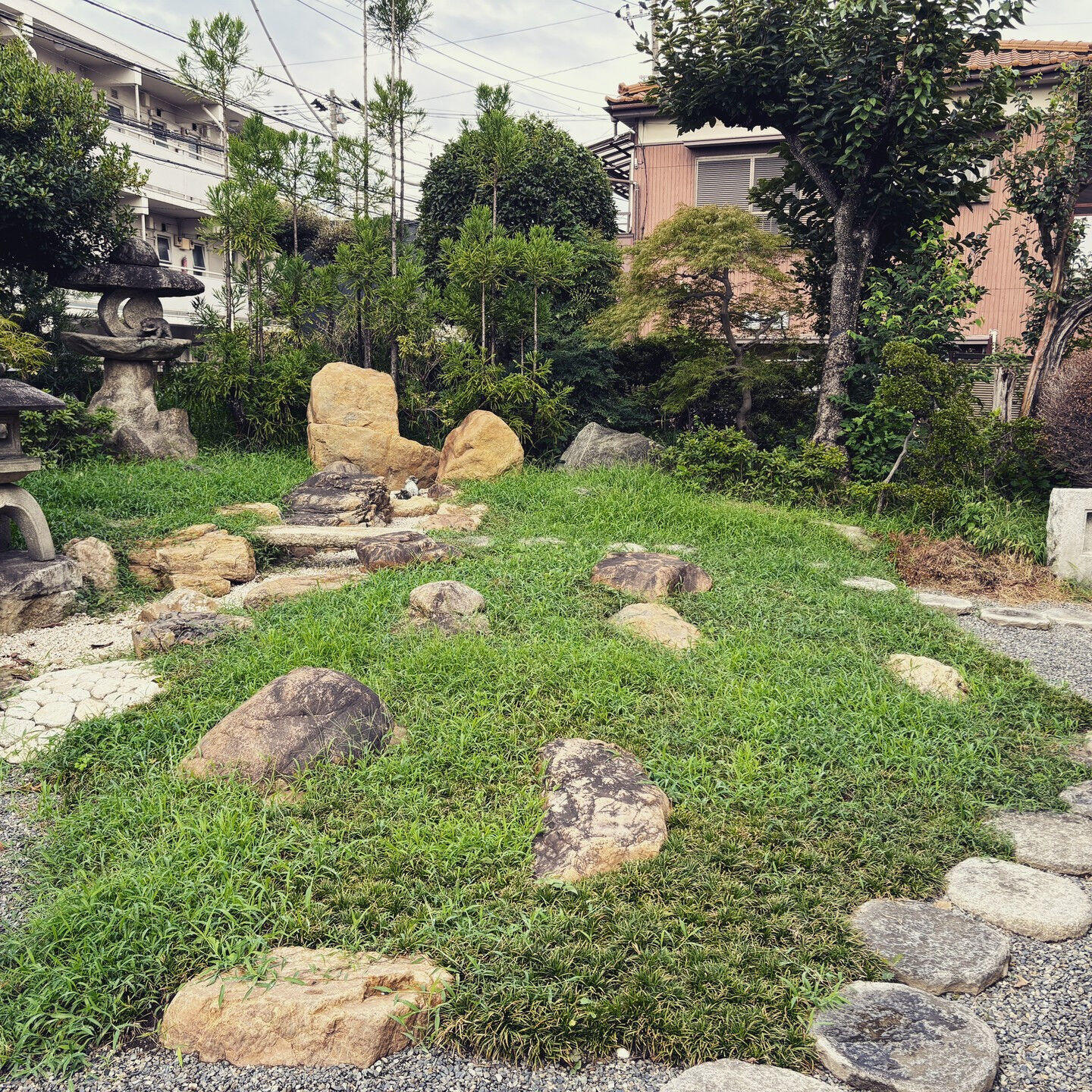 🌳✨ お庭で気になることがございましたら、ぜひ私たち菊水苑ま
