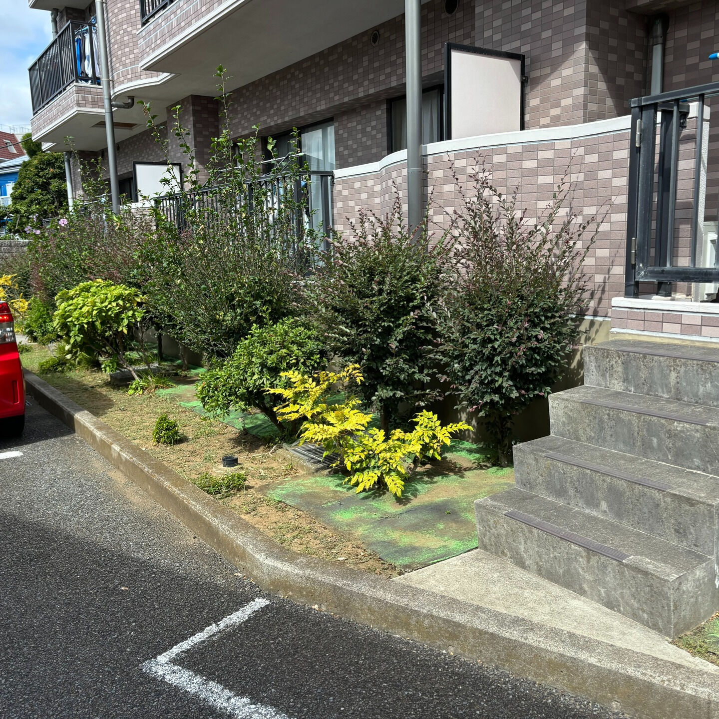 横浜市や川崎市で庭木のお手入れにお困りの方へ🌱✨！菊水苑では