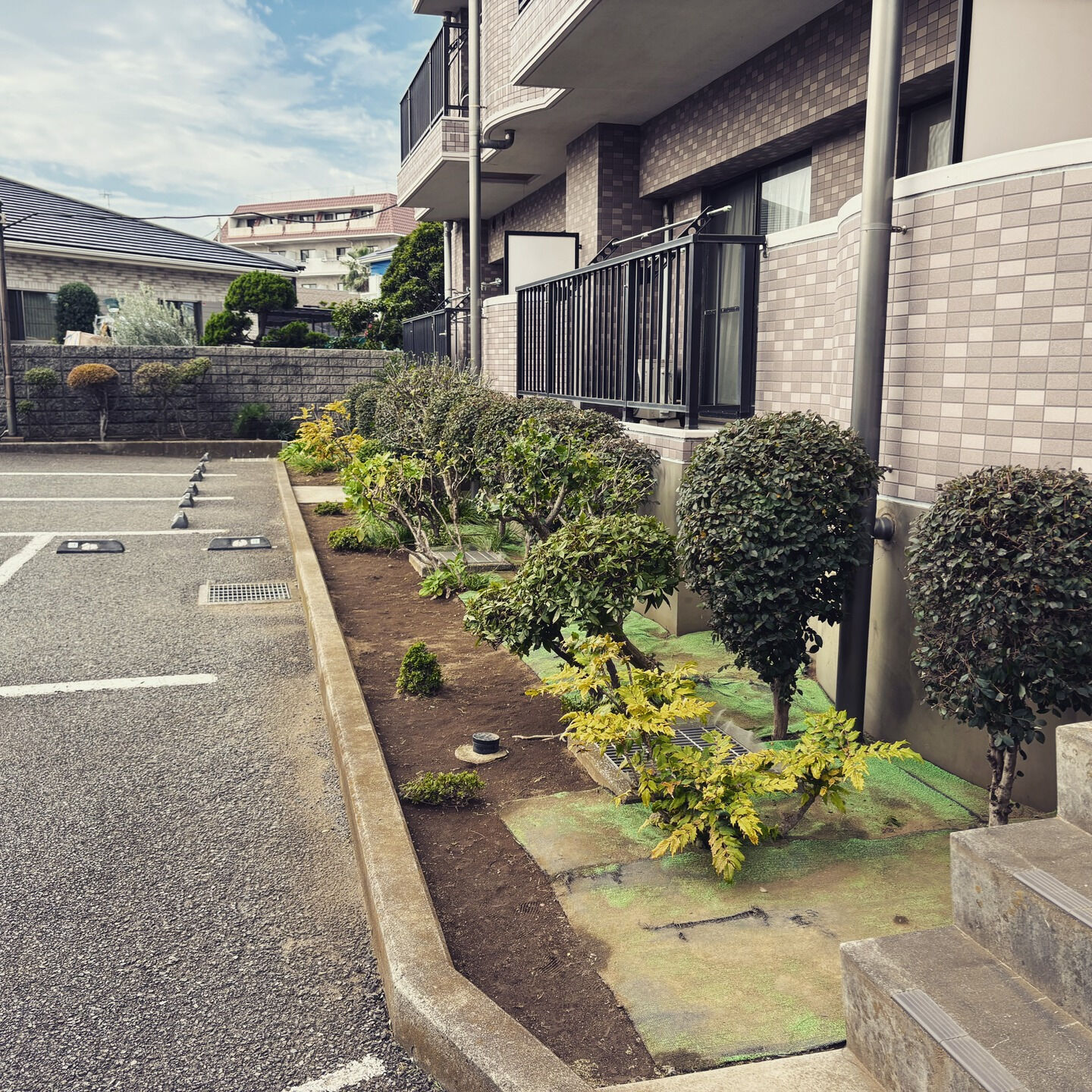 横浜市や川崎市で庭木のお手入れにお困りの方へ🌱✨！菊水苑では